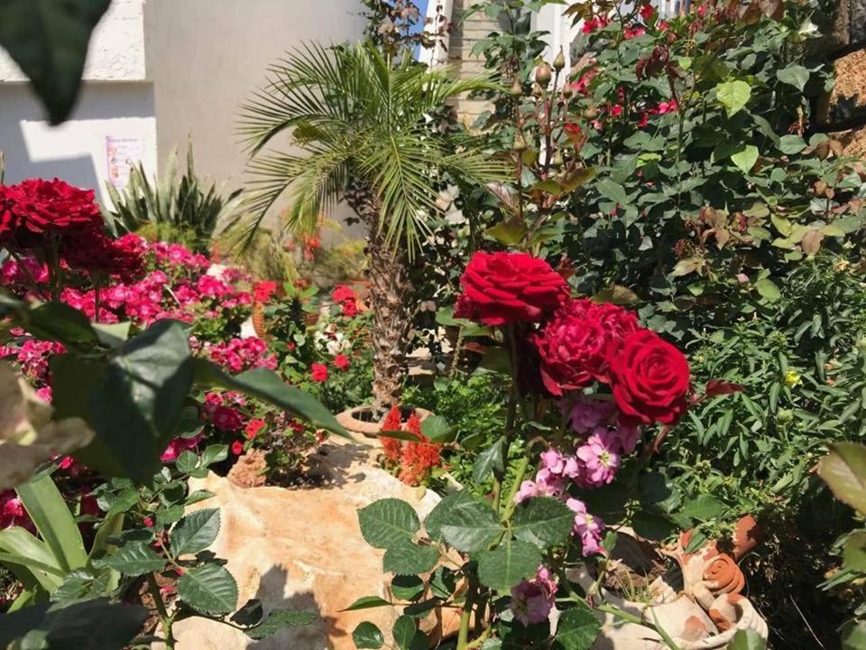 Athina Residence Léntas Extérieur photo